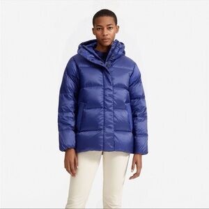 Everlane Blue Puffer Jacket